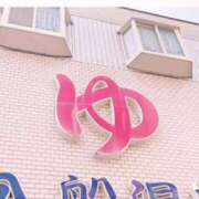 ヒメ日記 2025/04/09 08:13 投稿 こゆき 奥鉄オクテツ大阪