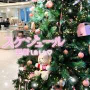 ヒメ日記 2024/12/25 21:15 投稿 美桜 アラカルト