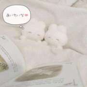 ヒメ日記 2025/01/13 09:25 投稿 美桜 アラカルト