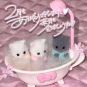 ヒメ日記 2025/02/28 15:30 投稿 美桜 アラカルト