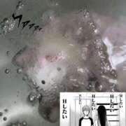 ヒメ日記 2025/03/13 01:56 投稿 美桜 アラカルト