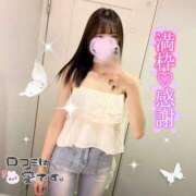 ヒメ日記 2025/03/26 06:45 投稿 美桜 アラカルト