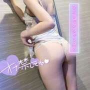 ヒメ日記 2025/04/09 17:30 投稿 美桜 アラカルト