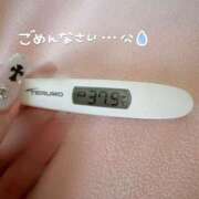 ヒメ日記 2025/05/10 17:12 投稿 美桜 アラカルト