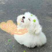 ヒメ日記 2025/08/19 11:29 投稿 美桜 アラカルト