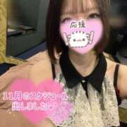 美桜 6日から居ます🐻‍❄️❕ アラカルト