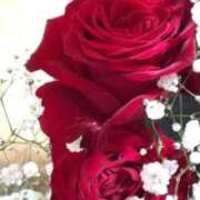 ヒメ日記 2025/06/15 11:11 投稿 浜口 西川口デッドボール