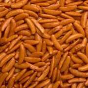 浜口 イベントのお礼と次回予定？ 西川口デッドボール