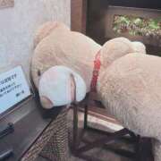 ヒメ日記 2025/03/16 04:30 投稿 ルキ 広島で評判のお店はココです！