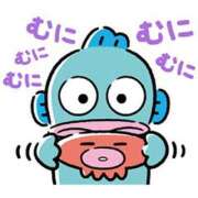 ヒメ日記 2025/05/01 02:00 投稿 ルキ 広島で評判のお店はココです！