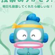 ヒメ日記 2026/04/12 11:30 投稿 ルキ 広島で評判のお店はココです！