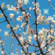 ヒメ日記 2025/02/27 10:50 投稿 りん 天使のゆびさき 船橋店(カサブランカグループ)