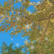 ヒメ日記 2025/11/10 09:28 投稿 りん 天使のゆびさき 船橋店(カサブランカグループ)