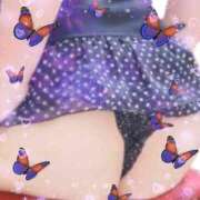 ヒメ日記 2025/06/13 10:46 投稿 ひなこ♡ミニマム系エロ伝道師♡ 富山高岡ちゃんこ