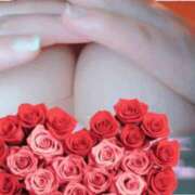 ひなこ♡ミニマム系エロ伝道師♡ ✨御礼日記📖☡✍✨ 富山高岡ちゃんこ