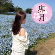 ヒメ日記 2025/04/26 10:42 投稿 えみか 神田添い寝女子
