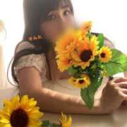 ヒメ日記 2025/08/29 03:01 投稿 横野すみれ 多恋人倶楽部