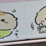 ヒメ日記 2025/09/16 11:43 投稿 横野すみれ 多恋人倶楽部