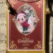 ヒメ日記 2025/11/07 22:22 投稿 横野すみれ 多恋人倶楽部