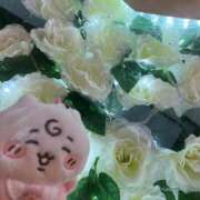 ヒメ日記 2026/01/30 02:46 投稿 横野すみれ 多恋人倶楽部