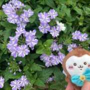 横野すみれ ありがとう🌸 多恋人倶楽部