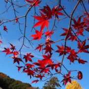 ヒメ日記 2024/12/21 12:21 投稿 早川 熟女の風俗最終章 横浜本店