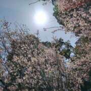 ヒメ日記 2025/04/02 19:24 投稿 早川 熟女の風俗最終章 横浜本店