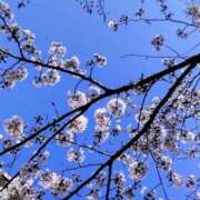 ヒメ日記 2025/04/11 21:04 投稿 早川 熟女の風俗最終章 横浜本店