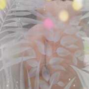 ヒメ日記 2025/03/25 23:54 投稿 石川 熟女の風俗最終章 横浜本店