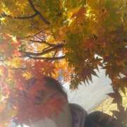 ヒメ日記 2025/11/14 16:24 投稿 石川 熟女の風俗最終章 横浜本店