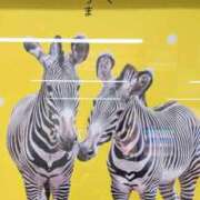 ヒメ日記 2026/02/28 19:37 投稿 石川 熟女の風俗最終章 横浜本店