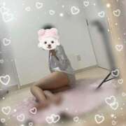 ヒメ日記 2025/08/27 11:02 投稿 しの 秋葉原ハンドメイド