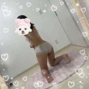 ヒメ日記 2025/09/19 10:58 投稿 しの 秋葉原ハンドメイド