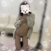 ヒメ日記 2025/12/22 10:36 投稿 しの 秋葉原ハンドメイド