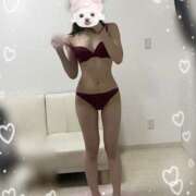 ヒメ日記 2025/12/27 10:28 投稿 しの 秋葉原ハンドメイド