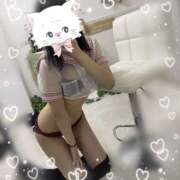 しの ありがとう 秋葉原ハンドメイド