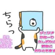 ヒメ日記 2025/10/19 14:45 投稿 ジュリア ドキドキＮＴＲ寝取られ生電話