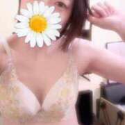 ヒメ日記 2025/02/21 05:39 投稿 なつ アネックスジャパン