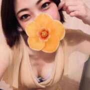 ヒメ日記 2025/05/19 17:14 投稿 なつ アネックスジャパン