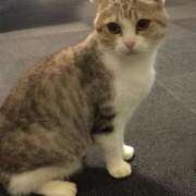 ヒメ日記 2025/10/13 11:49 投稿 なつ アネックスジャパン