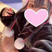 ヒメ日記 2025/06/04 10:00 投稿 桐島　ぼたん OLセレクション宇都宮店