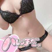 ヒメ日記 2026/04/29 05:04 投稿 桐島　ぼたん OLセレクション宇都宮店