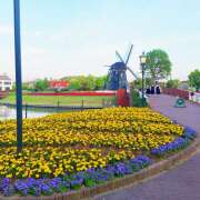 ヒメ日記 2025/05/22 06:20 投稿 赤坂麗来 五十路マダム　和歌山店