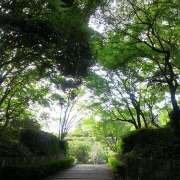 ヒメ日記 2025/07/10 04:46 投稿 赤坂麗来 五十路マダム　和歌山店