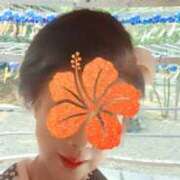 ヒメ日記 2025/11/15 16:04 投稿 赤坂麗来 五十路マダム　和歌山店