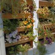 七海（ななみ） こんにちは 熟女の風俗最終章 大宮店