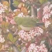 ヒメ日記 2025/02/24 12:15 投稿 もね 大和人妻城