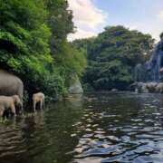 ヒメ日記 2025/07/03 13:11 投稿 ことか 奥鉄オクテツ東京店（デリヘル市場）