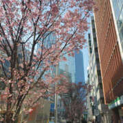 ヒメ日記 2026/03/17 16:52 投稿 ことか 奥鉄オクテツ東京店（デリヘル市場）