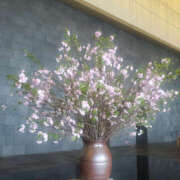 ヒメ日記 2026/04/03 00:52 投稿 ことか 奥鉄オクテツ東京店（デリヘル市場）